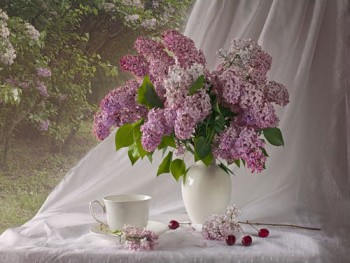 Доброго утра Хорошего дня Спокойной ночи  - image-1я-7.jpg