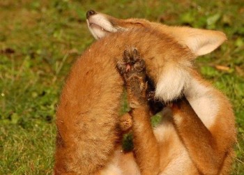 Из ВКонтактика с приветиком  - Q3-_dkSMGQo.jpg