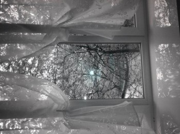 Выбор штор в гостиную - 20160505_084129.jpg