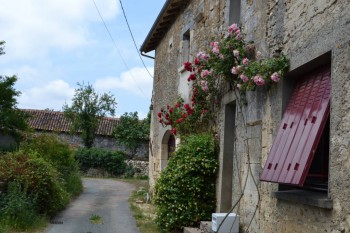 Дом по соседству