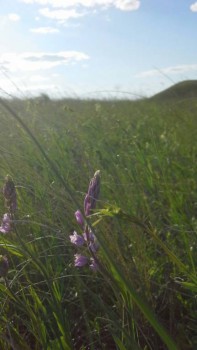 Времена года: лучшие мгновения - MA13EOw27SM.jpg