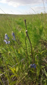 Времена года: лучшие мгновения - rOeP1mTCiPE.jpg