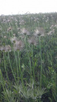 Времена года: лучшие мгновения - 2GsrimN8moo.jpg