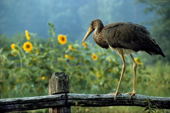 Красавица-Земля  - 151.jpg