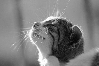 Из ВКонтактика с приветиком  - улыбка.jpg