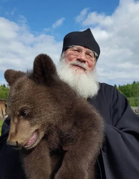 Православный Цветник - 13407217_1548089868830441_7319632903513171477_n.jpg