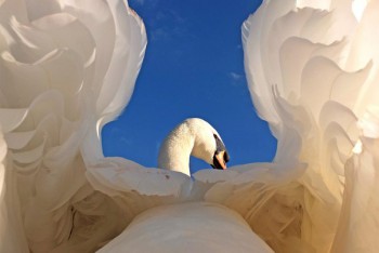 Автор Гез Робинсон.