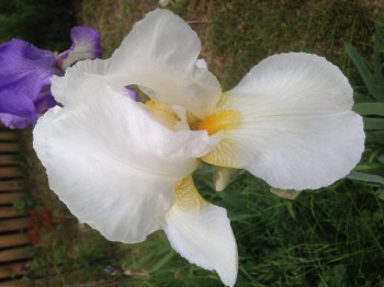 Чем сегодня занимались-3 - image.jpg