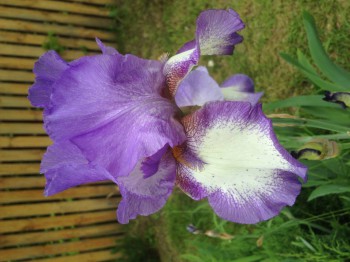 Чем сегодня занимались-3 - image.jpg