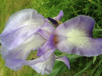 Чем сегодня занимались-3 - image.jpg