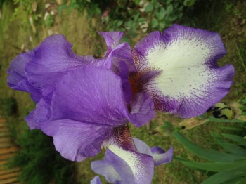 Чем сегодня занимались-3 - image.jpg