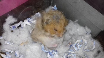 Чем сегодня занимались-3 - 20160610_074757.jpg