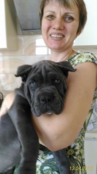 Тут в первый день у нас. Ему 3 месяца