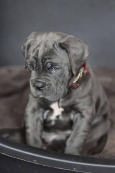 Ну и это наш колобок в месяц