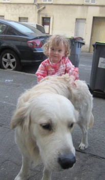 Хочу собаку. Все за и против - IMG_4594.JPG