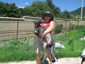 А это мы уже подросли. Еле поднимаю уже. )))