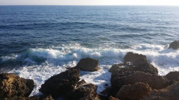 А у вас сейчас какое настроение? - 20160616_184424.jpg