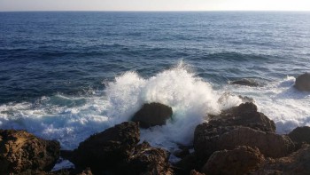 А у вас сейчас какое настроение? - 20160616_184425.jpg