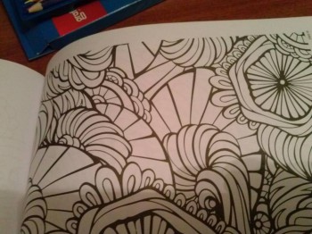 Чем сегодня занимались-3 - CAM00068.jpg