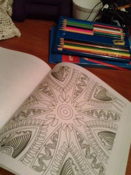 Чем сегодня занимались-3 - CAM00069.jpg