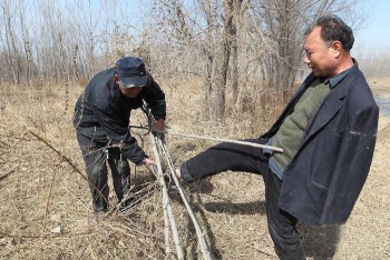 Что нам попалось в мировой сети... - 0.jpg