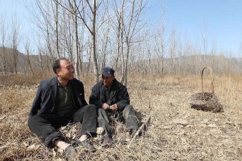 Что нам попалось в мировой сети... - 2.jpg