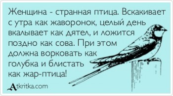 Из ВКонтактика с приветиком  - 46377_425x237_image43d876e8.jpg