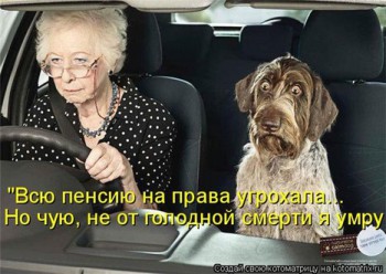 Из ВКонтактика с приветиком  - 6896a878684617a17d568746c1712711.jpg