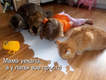 Из ВКонтактика с приветиком  - image.jpg