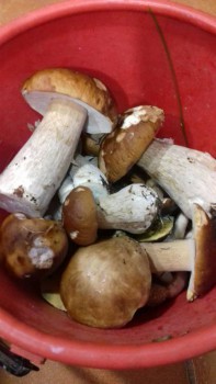 думаю на тарелочку супа хватит.  :-)