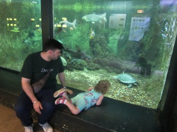 Чем сегодня занимались-3 - IMG_4972.JPG