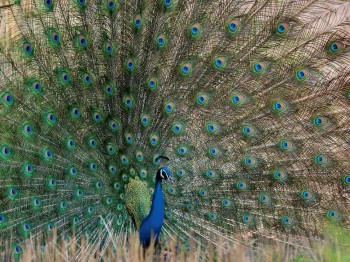 А у вас сейчас какое настроение? - image.jpg