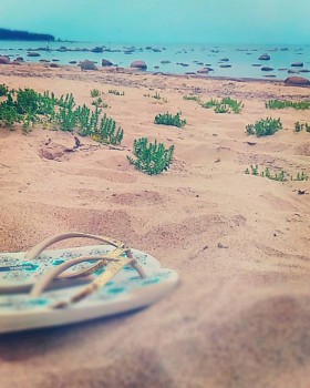 Чем сегодня занимались-3 - IMG_20160728_193931.jpg