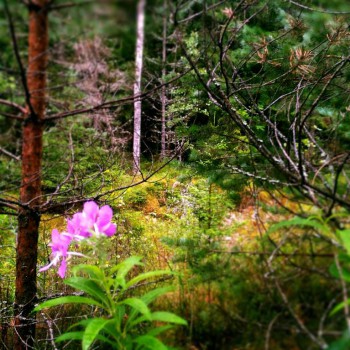 Чем сегодня занимались-3 - IMG_20160730_221224.jpg