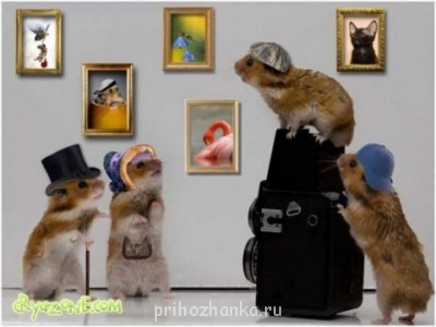  Рукодельный юмор - big1.jpg