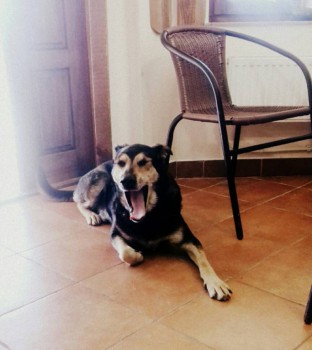 Чем сегодня занимались-3 - PicsArt_08-04-11.23.46.jpg