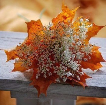 Конкурс осенняя подпись - 5IfH4PzUIPA.jpg