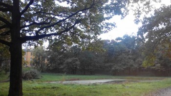 Поговорим о погоде - 2016-09-24 18.13.43.jpg