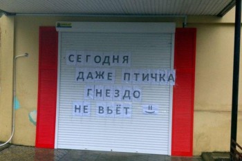 Из ВКонтактика с приветиком  - 14332997_1097135477028775_1152257232741275328_n.jpg