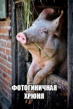 Из ВКонтактика с приветиком  - R9py-UiQy48.jpg