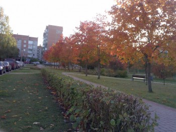 Прекрасная осень  - CAM00013.jpg