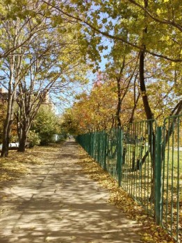 По фото и не скажешь, что сильный ветрище