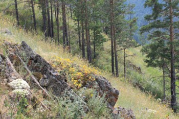 Чем сегодня занимались-3 - IMG_0178.JPG