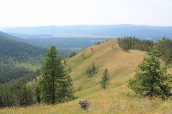 Чем сегодня занимались-3 - IMG_0179.JPG