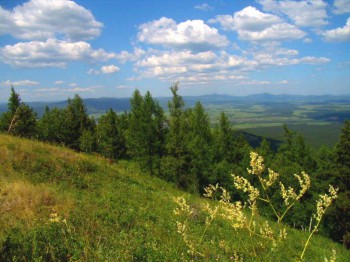 Чем сегодня занимались-3 - IMG_0180.JPG