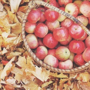 А у вас сейчас какое настроение? - ddfqcxLIZgo.jpg