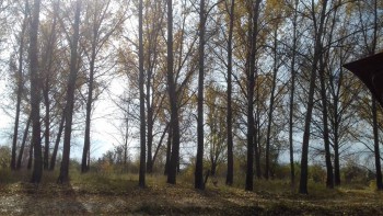 Поговорим о погоде - 20161005_122455.jpg