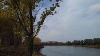 Поговорим о погоде - 20161005_122431.jpg