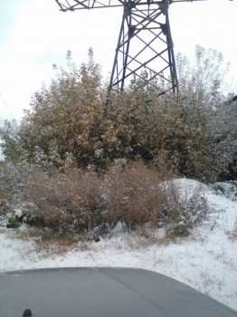 Поговорим о погоде - Lenovo_A1000_IMG_20161009_134322.jpg