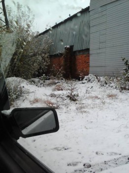 Поговорим о погоде - Lenovo_A1000_IMG_20161009_134311.jpg